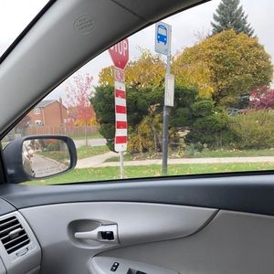 Meet your Posher, Richard